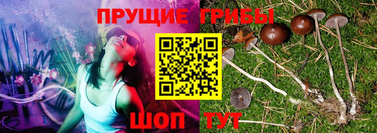 Галлюциногенные грибы прущие грибы  Вход с VPN  Муром 