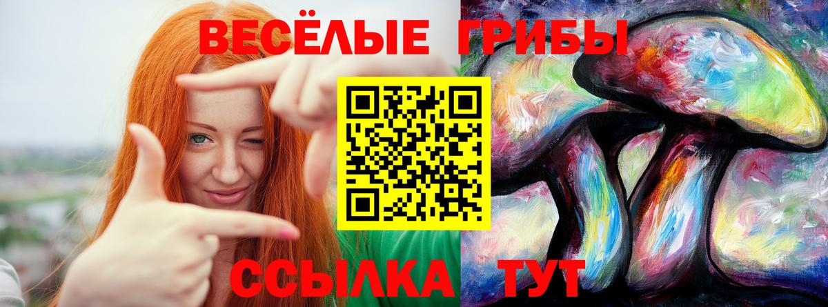 Галлюциногенные грибы мухоморы Муром