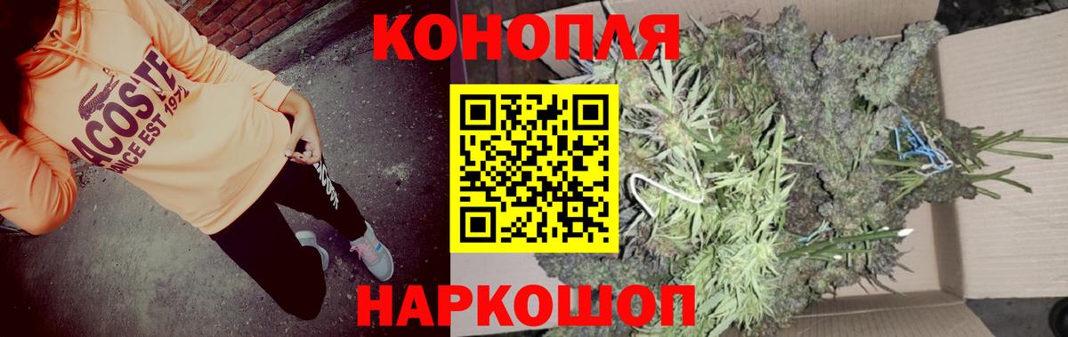 Конопля сатива Муром